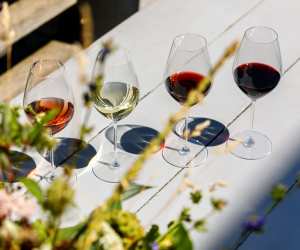 A lineup of Ontario VQA wines