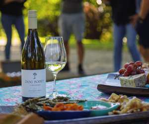 A bottle of Dog Point Sauvignon Blanc and a glass with a spread of food