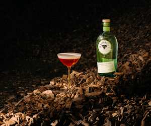 Ramsbury Gin Fall | A bottle of Ramsbury Gin next to a cocktail in a coupe sits in a forest