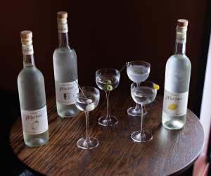 Best bars in Toronto | Martinis at Bar Allegro