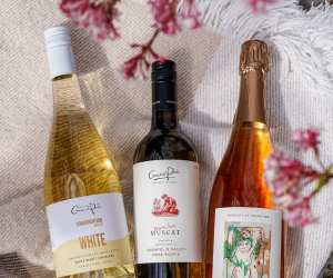 Nova Scotia wines | Three bottles of wine from Domaine de Grand Pré in Nova Scotia lying on a blanket