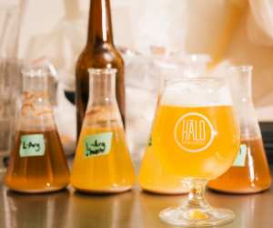 top-six-in-the-6-brewpubs