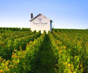 veuve-clicquot-200th-birthday