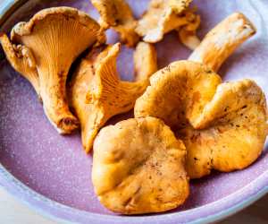 Restaurant supply chains | Marc's Mushrooms
