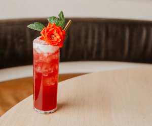 Vodka cocktail recipes | Nights of Wine & Roses