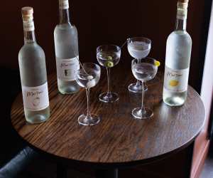 Best bars in Toronto | Martinis at Bar Allegro