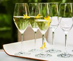 Zwilling-glasses
