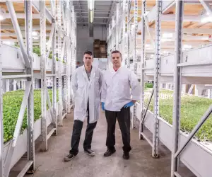 future-crops