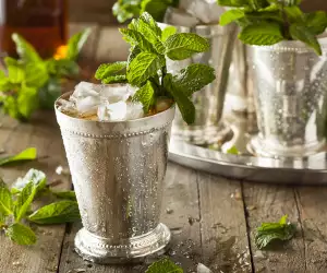 Mint julep recipe