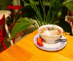 Vodkow cocktail