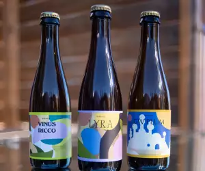 Burdock Brewery: three different beers