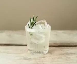 seedlip non-alcoholic cocktail Tom Collins