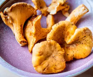 Restaurant supply chains | Marc's Mushrooms