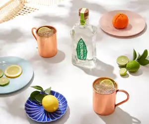 Cinco de Mayo cocktails | Hornitos tequila Mexican Mule