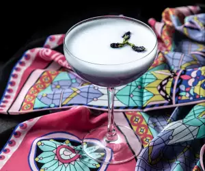 Gin cocktails and their recipes | Q1908 gin cocktail recipe