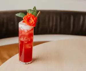 Vodka cocktail recipes | Nights of Wine & Roses