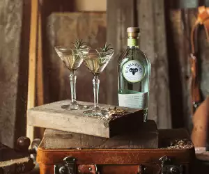 Martinis with a bottle of Ramsbury London dry gin
