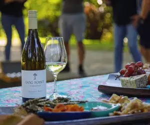 A bottle of Dog Point Sauvignon Blanc and a glass with a spread of food