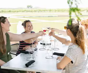 A group of people enjoying wine at Trius Winery Restaurant