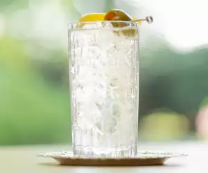 Dirty martini and tonic | A collins glass filled with Dillon's Distillery's Dirty ‘Tini & Tonic