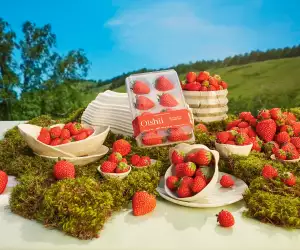 Oishii Koyo Berries