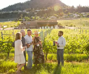 People in the vineyard at Volcanic Hills Winery
