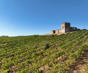 Wines of Alentejo: Rows of vines climb toward the medieval Castle of Evoramonte, overlooking the countryside near Estremoz, Portugal