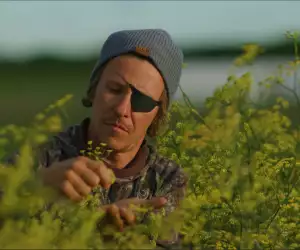 Shane Harper harvests fennel at Pearl Morissette in his new documentary, "Pirate Produce"