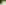 Zwilling-glasses